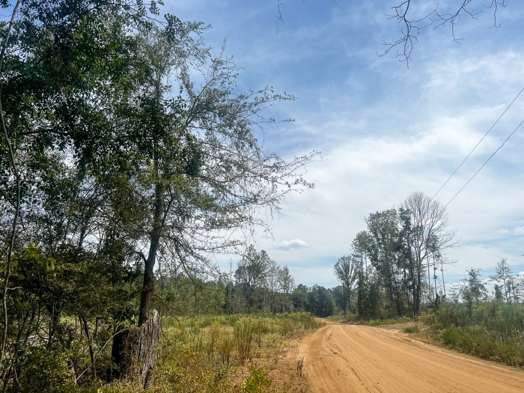1 County Road 4085 Newton TX 75928