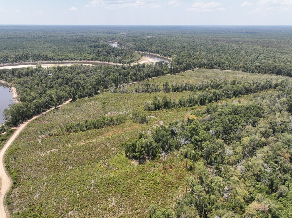 1 County Road 4085 Newton TX 75928