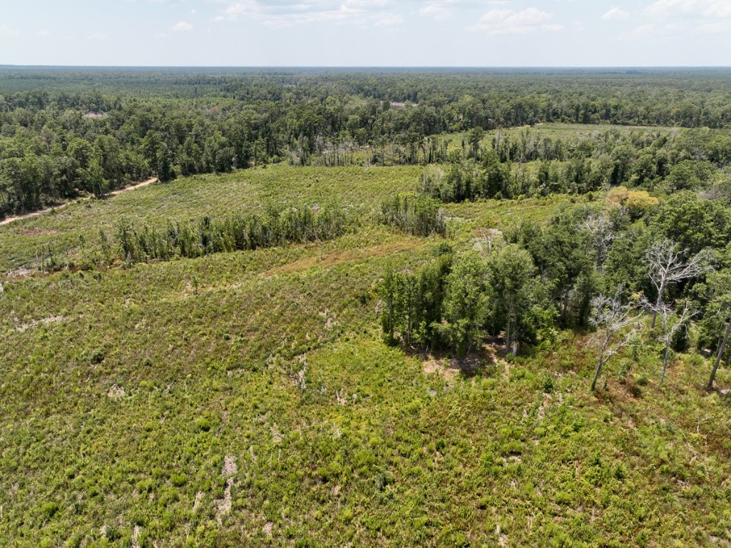 1 County Road 4085 Newton TX 75928
