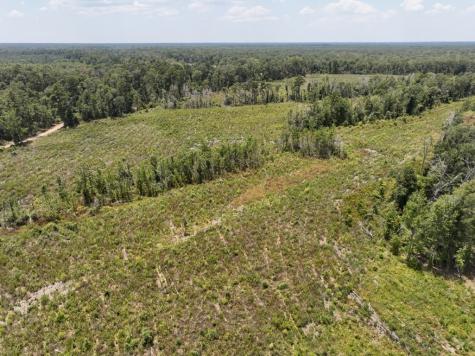 1 County Road 4085 Newton TX 75928