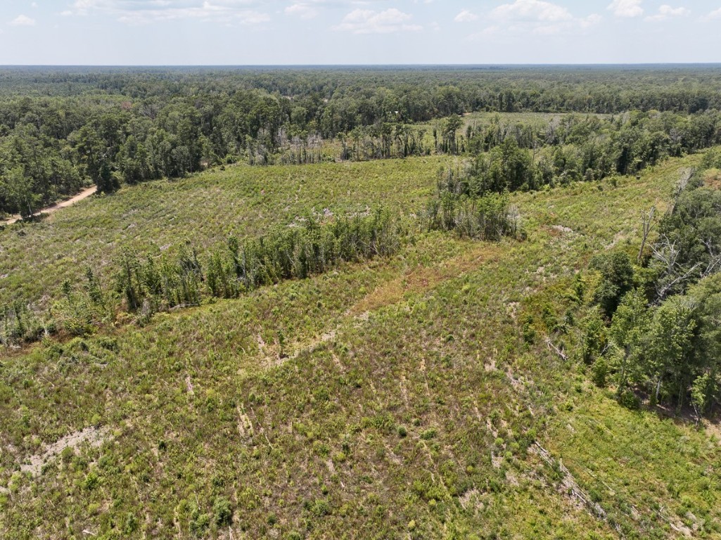 1 County Road 4085 Newton TX 75928