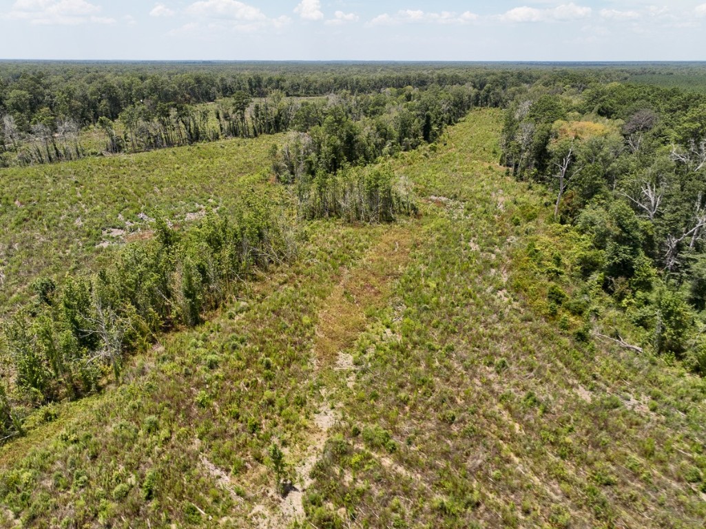 1 County Road 4085 Newton TX 75928