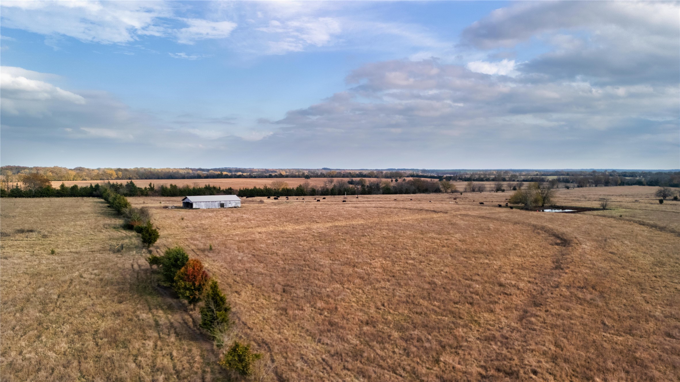 Tbd County Road 3255 Clarksville TX 75426