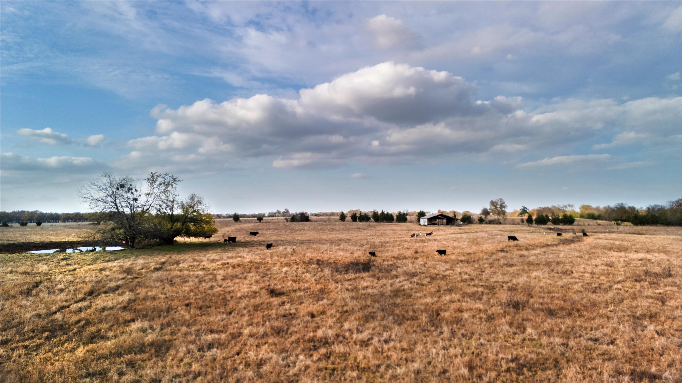 Tbd County Road 3255 Clarksville TX 75426