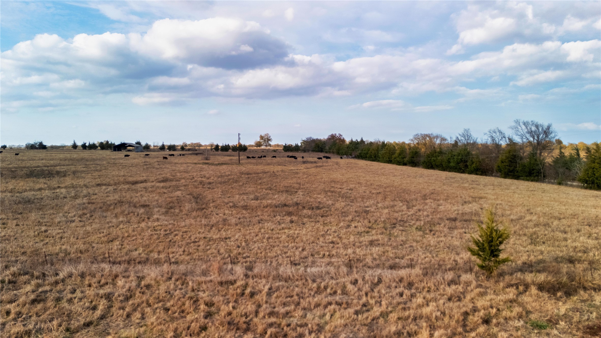 Tbd County Road 3255 Clarksville TX 75426