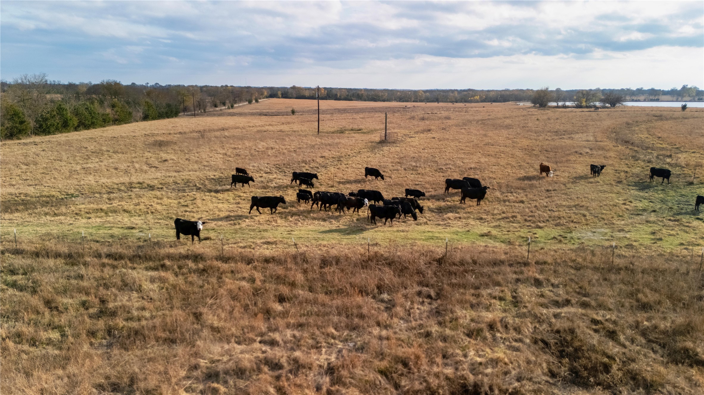 Tbd County Road 3255 Clarksville TX 75426