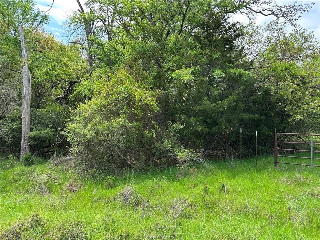 00 Hickory Loop Road Thornton TX 76687