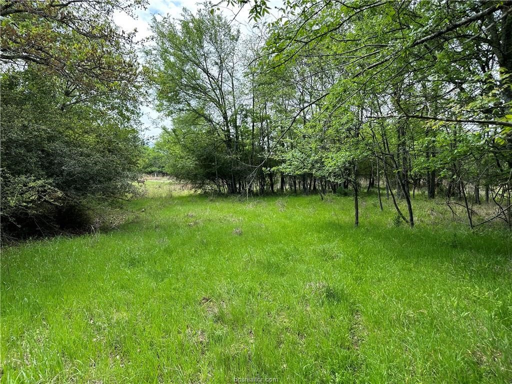 00 Hickory Loop Road Thornton TX 76687