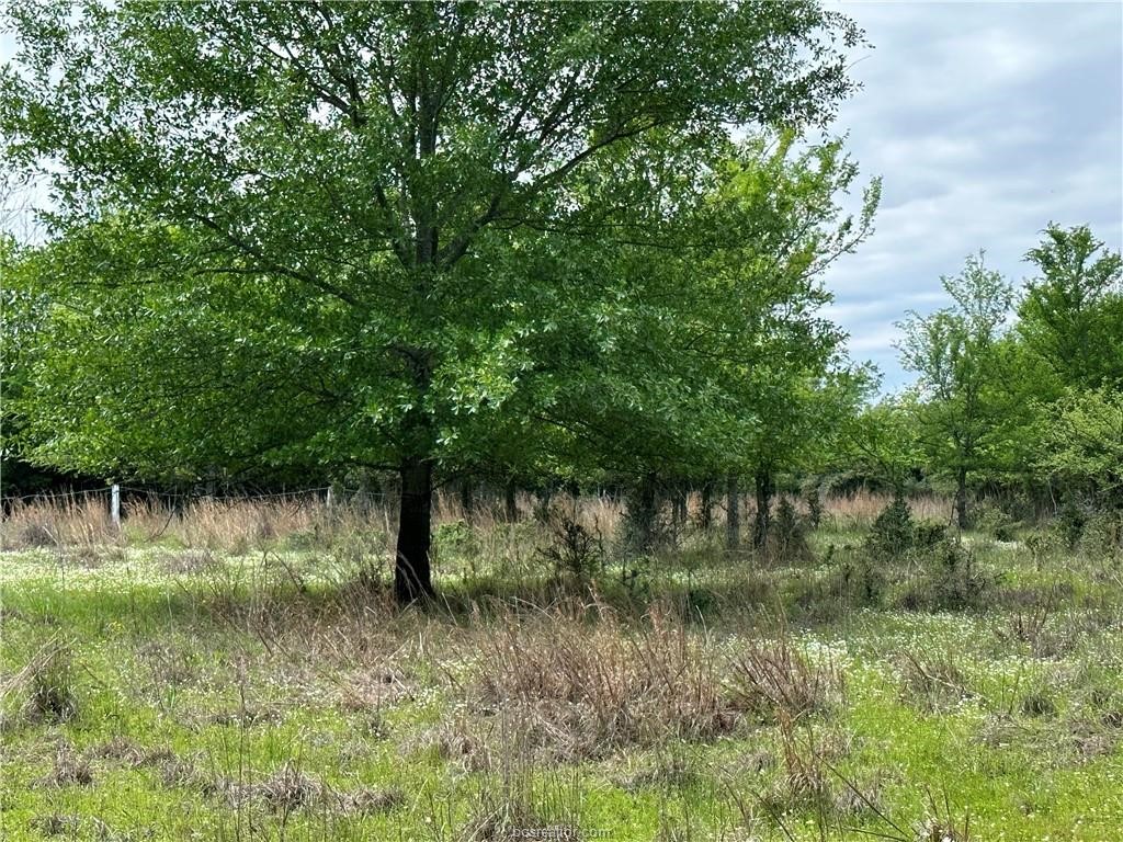 00 Hickory Loop Road Thornton TX 76687