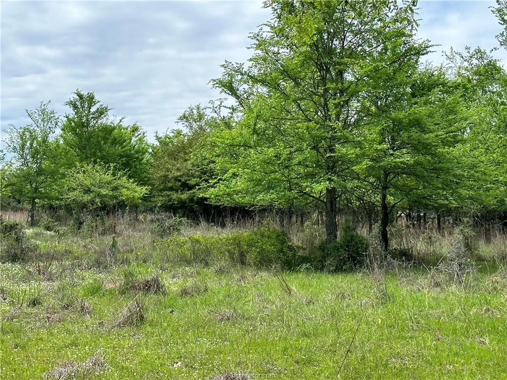 00 Hickory Loop Road Thornton TX 76687