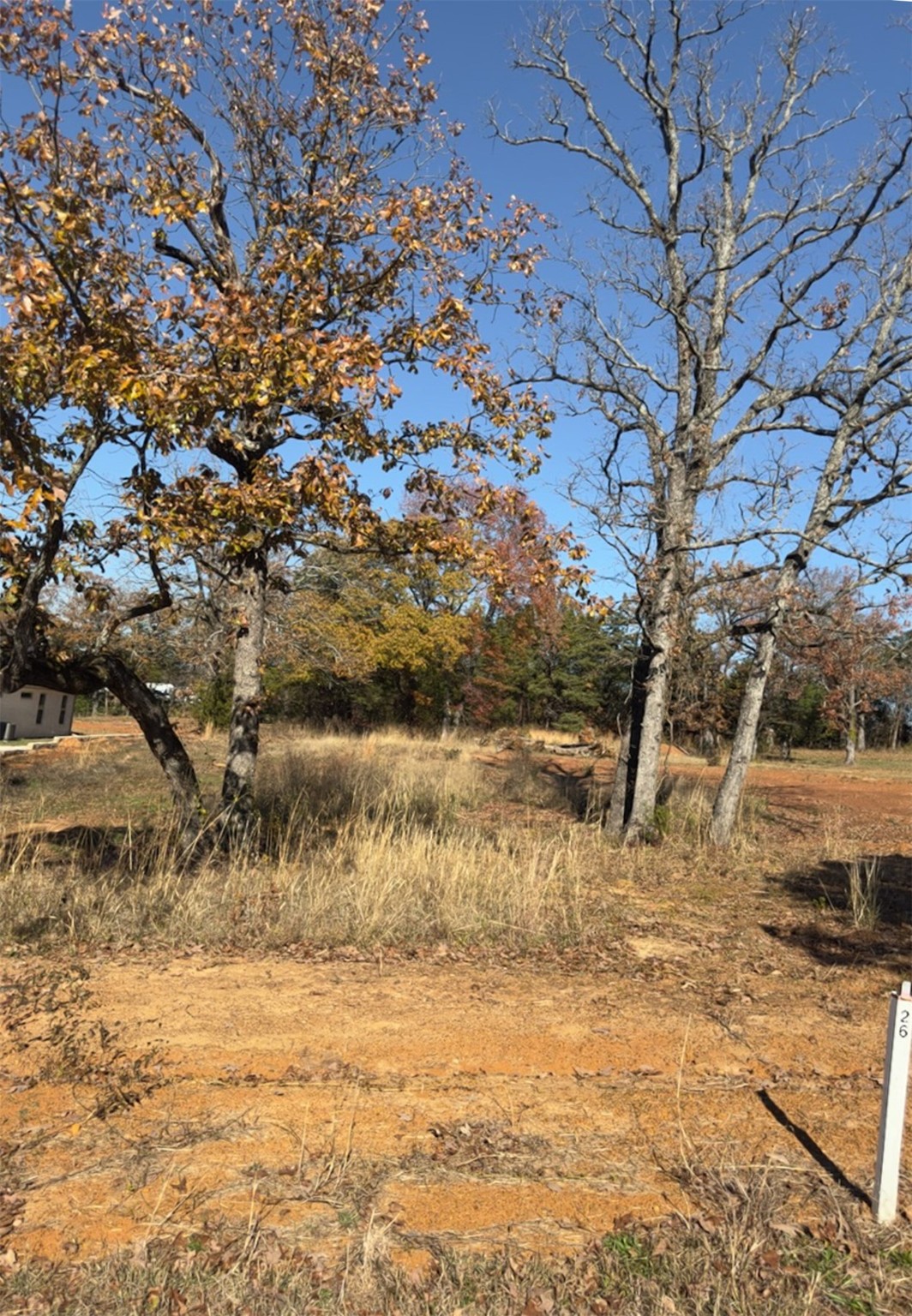 19668 Dove Ridge Drive Lindale TX 75771
