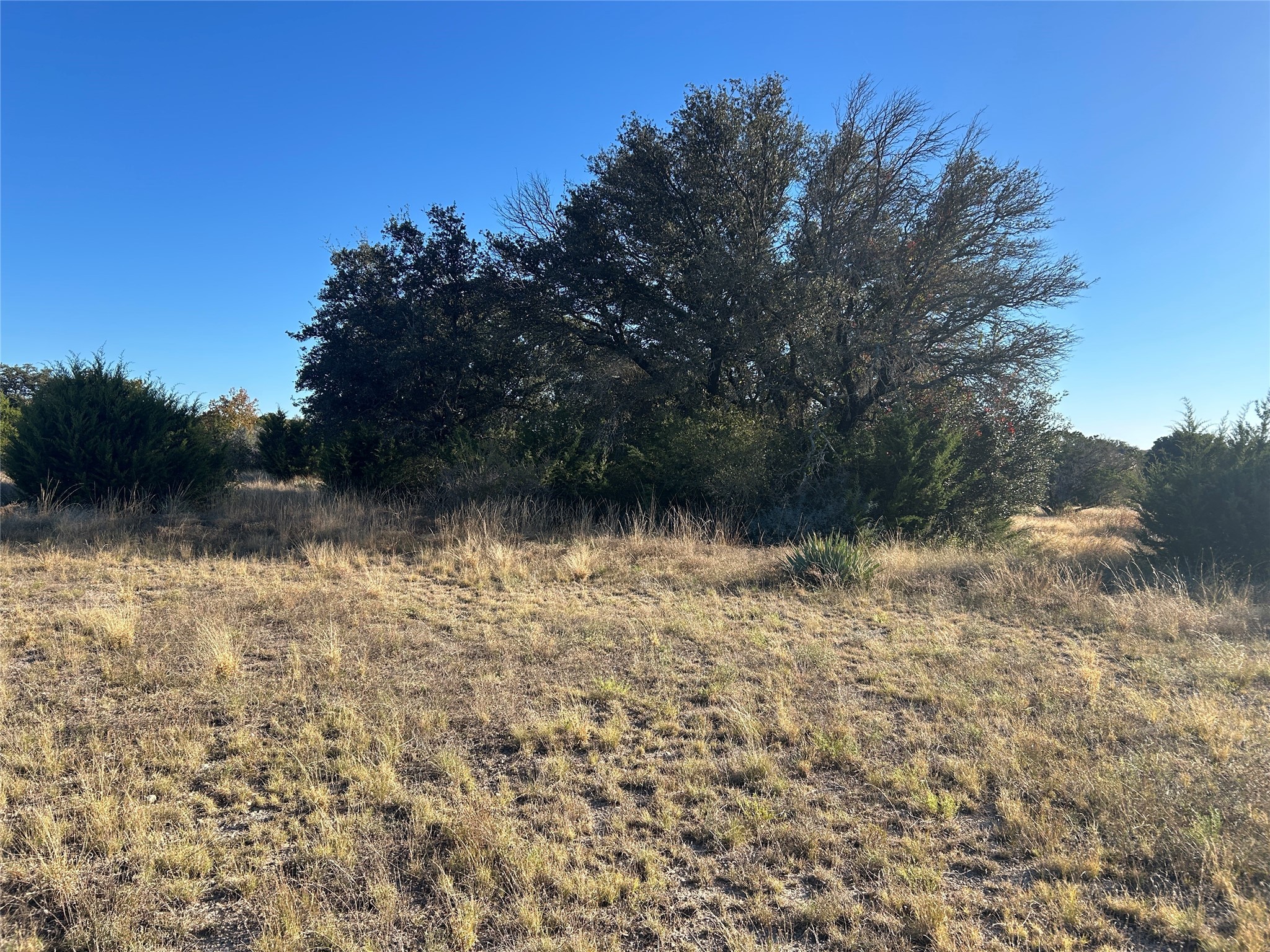20 County Road 505 Goldthwaite TX 76844