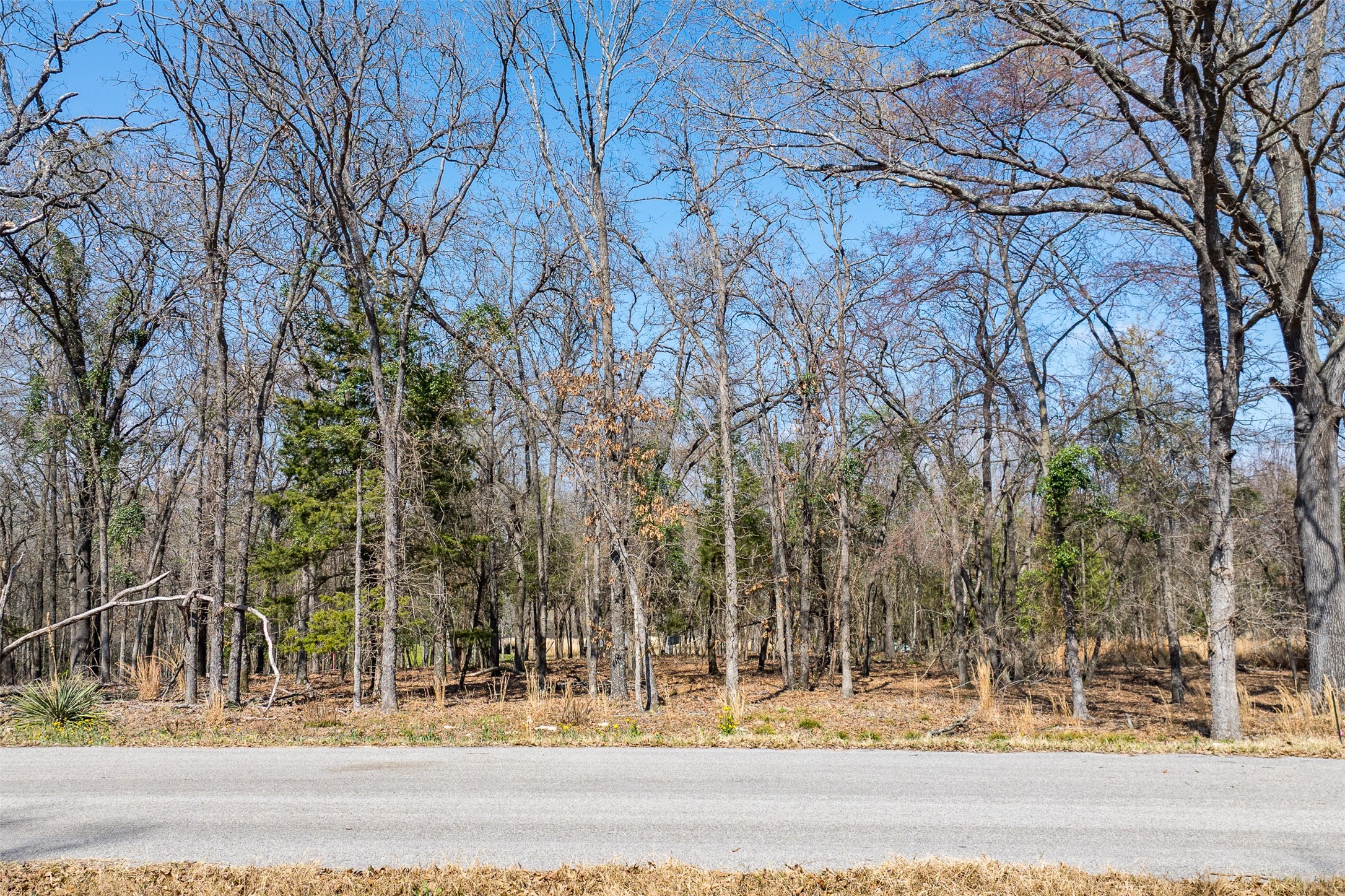 Lot 2 Windward Court Athens TX 75752