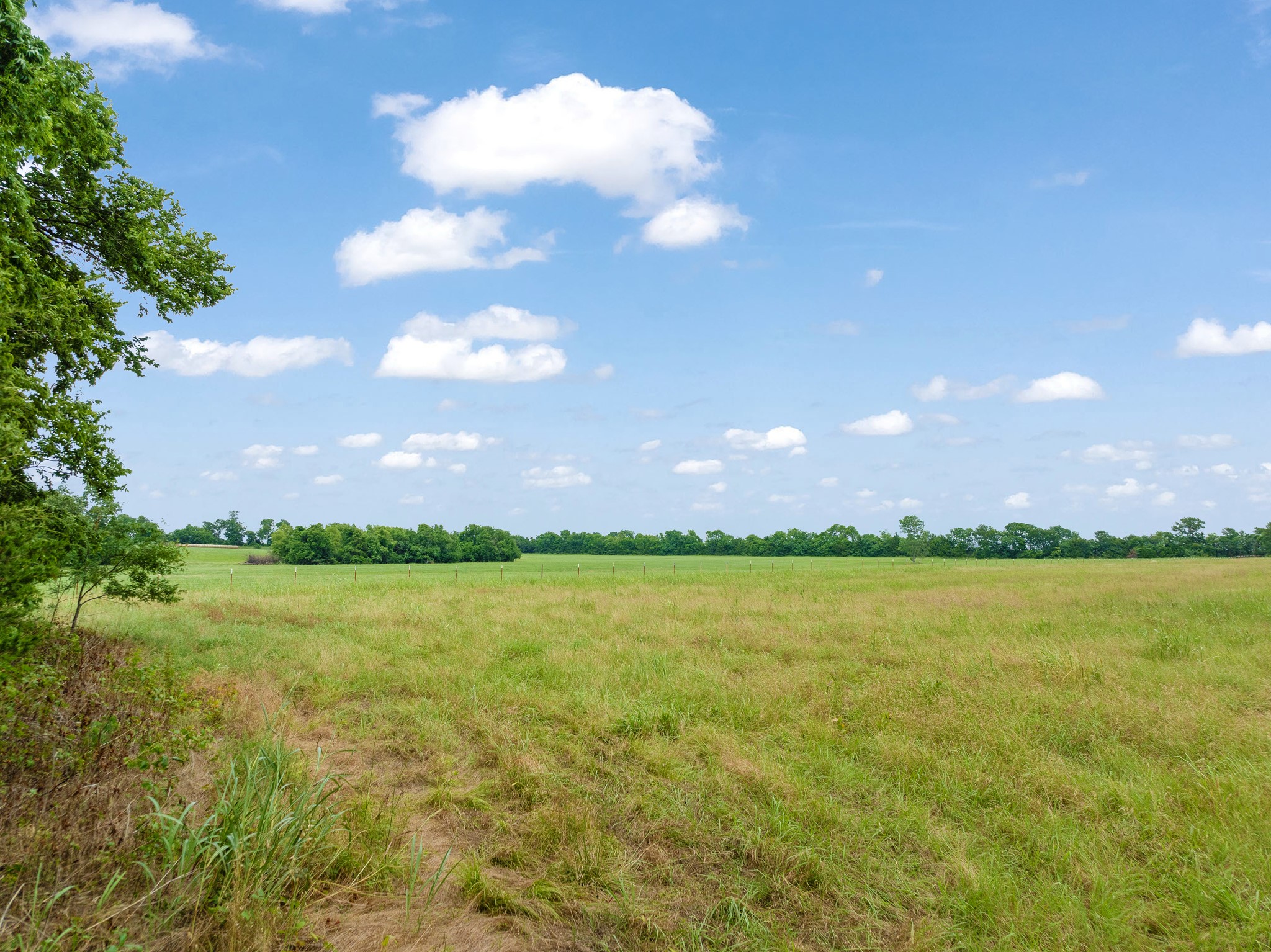 0000 Lot 1 Farm Road 1497 Paris TX 75462