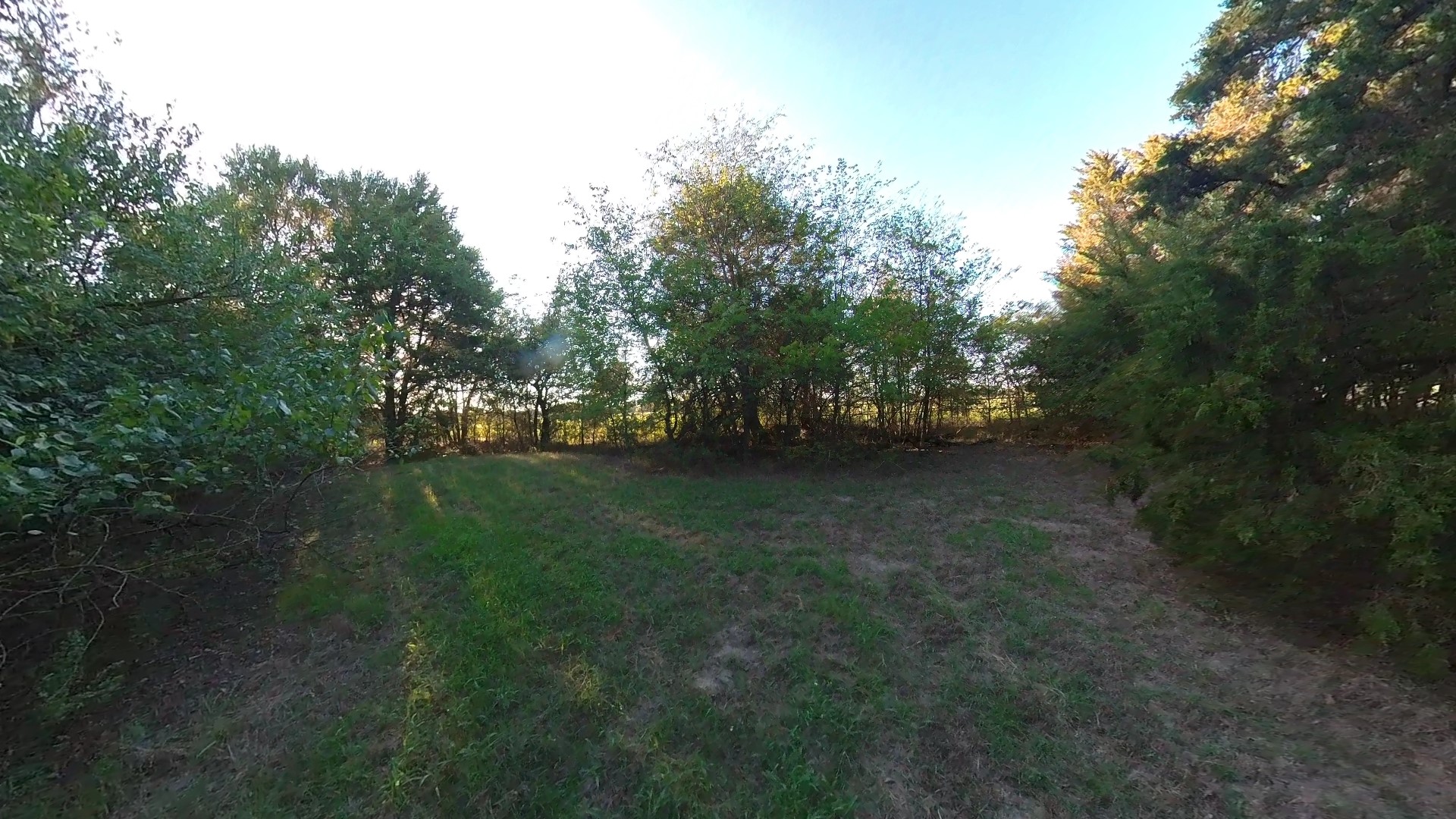 Lot 49 Caddo Trail Corsicana TX 75109
