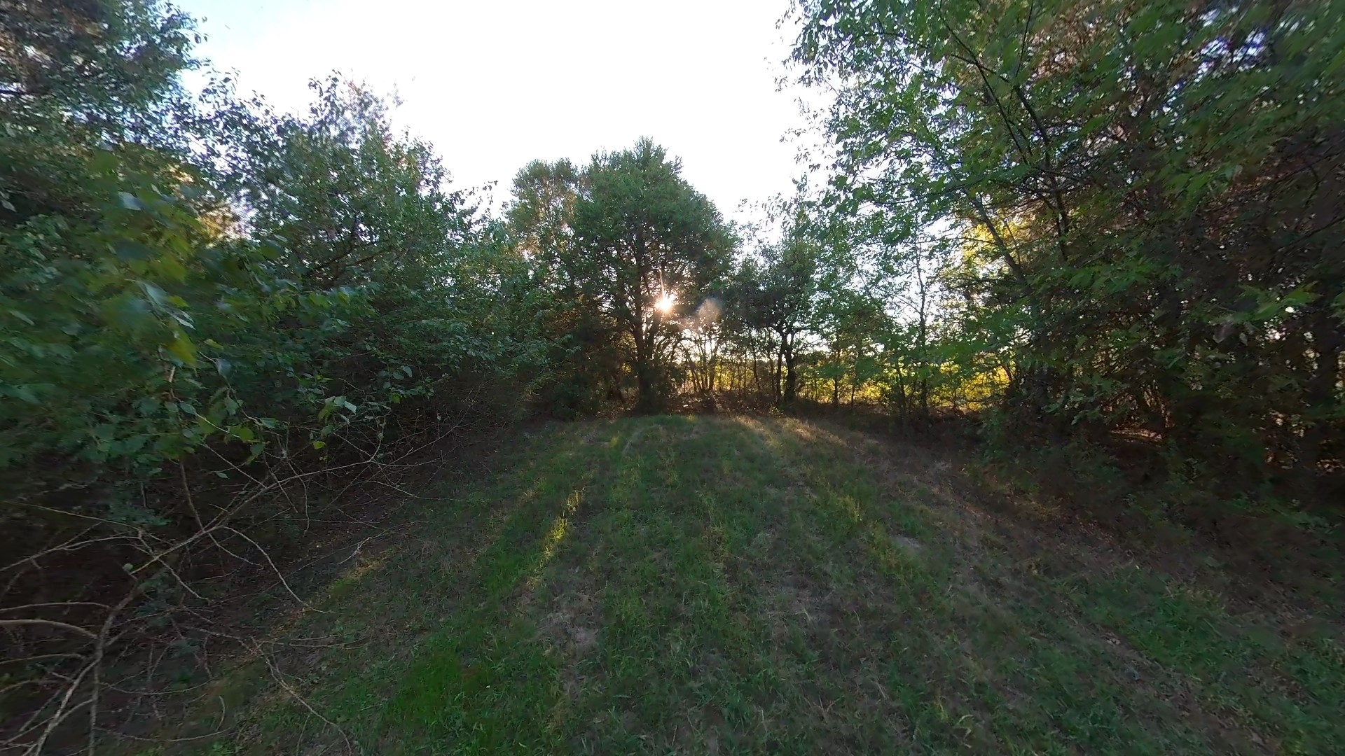 Lot 49 Caddo Trail Corsicana TX 75109