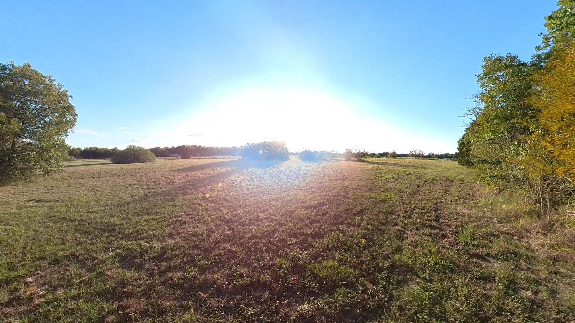 Lot 49 Caddo Trail Corsicana TX 75109