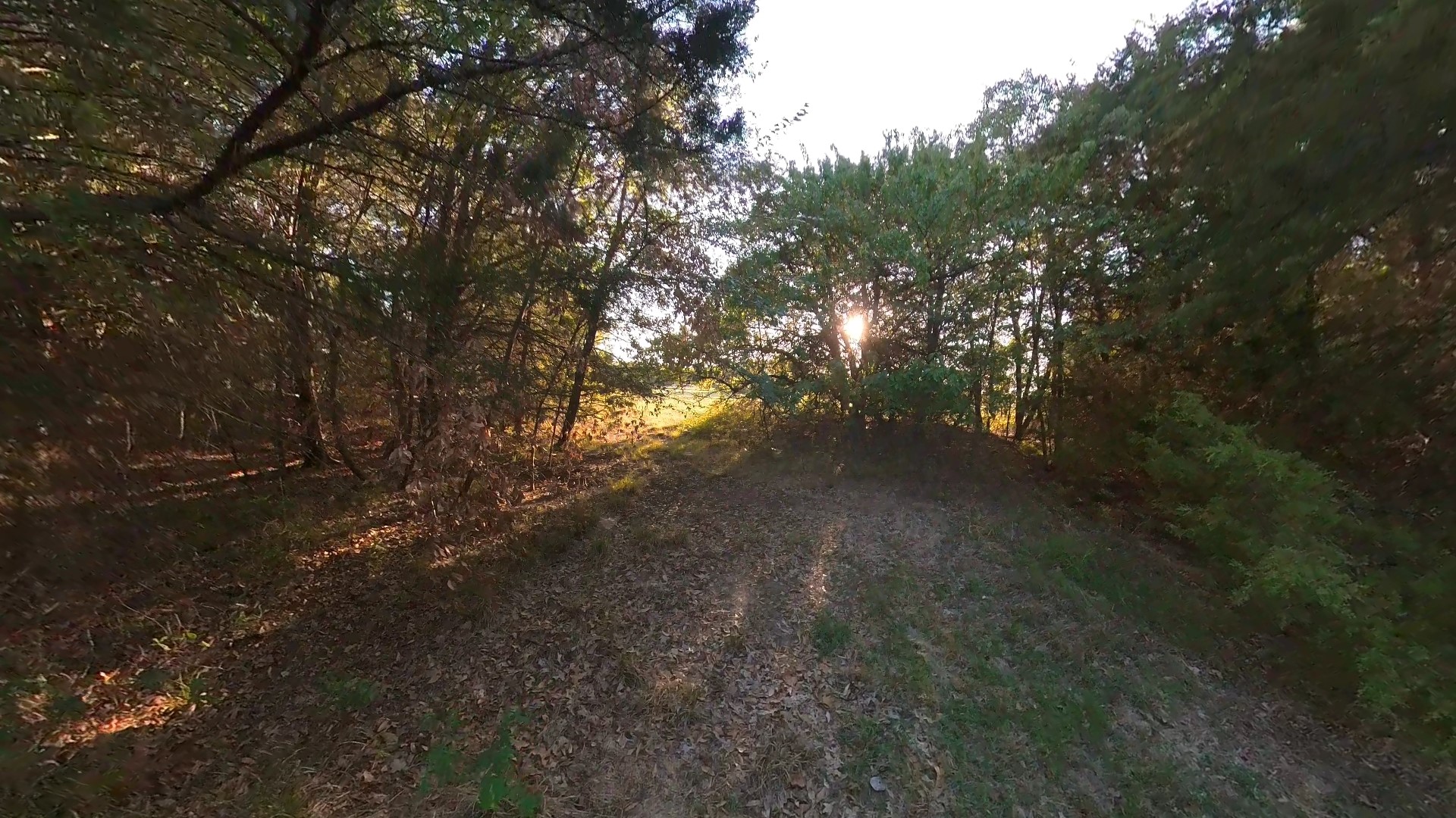 Lot 49 Caddo Trail Corsicana TX 75109