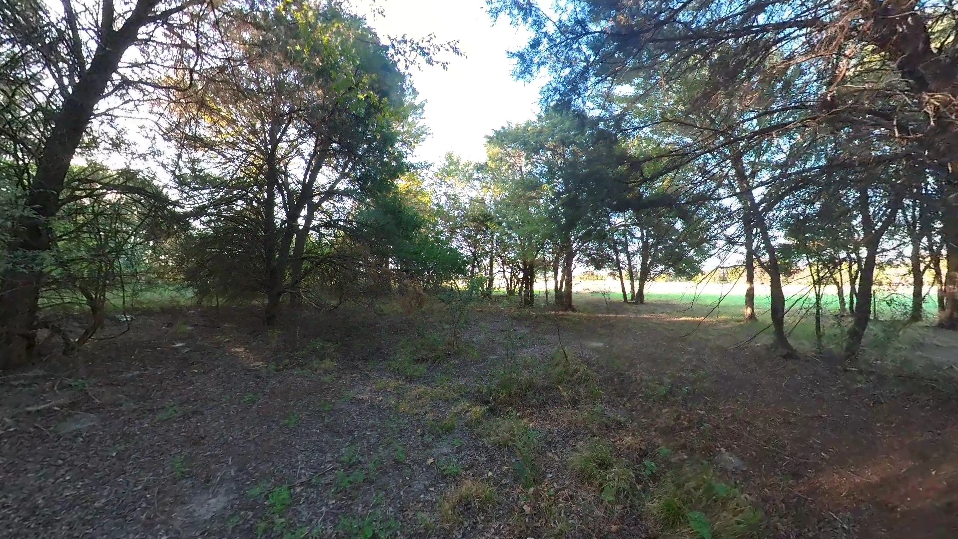 Lot 49 Caddo Trail Corsicana TX 75109