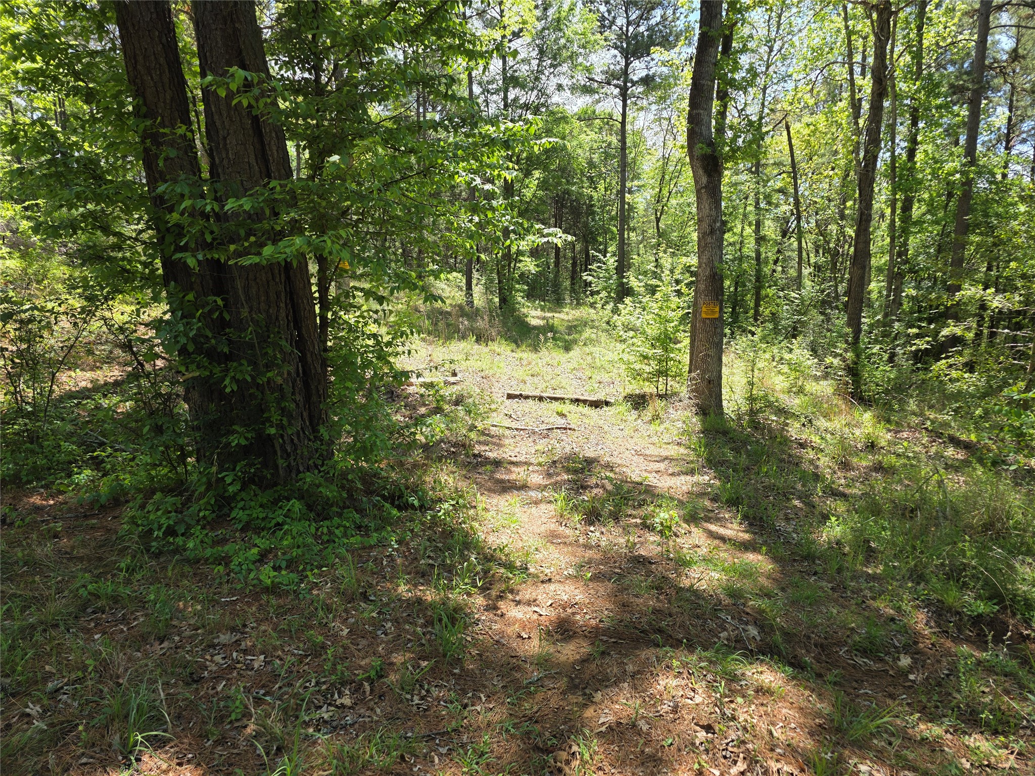 0 Fm 323 Palestine TX 75801