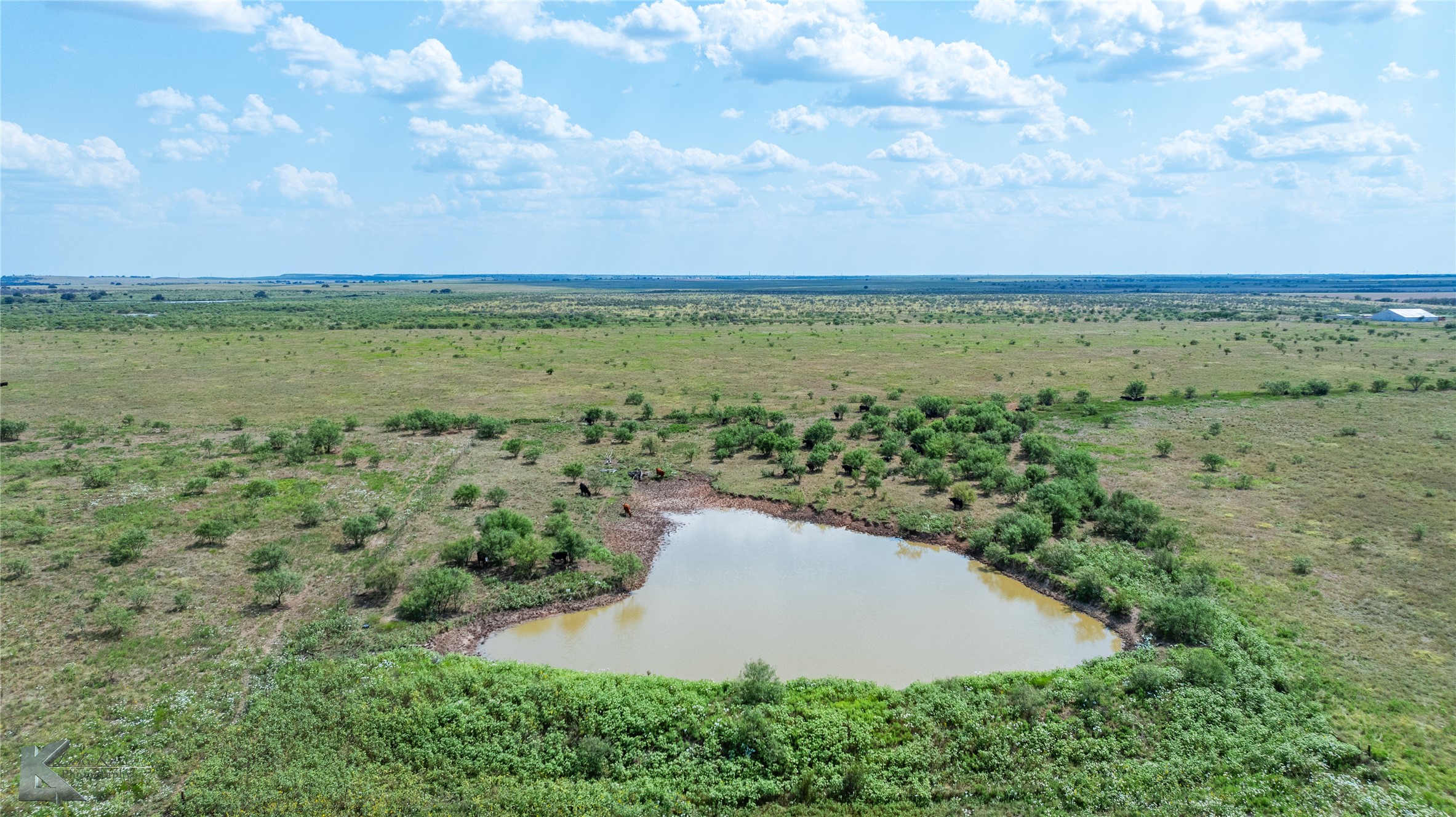 1208 County Road 304 Throckmorton TX 76843