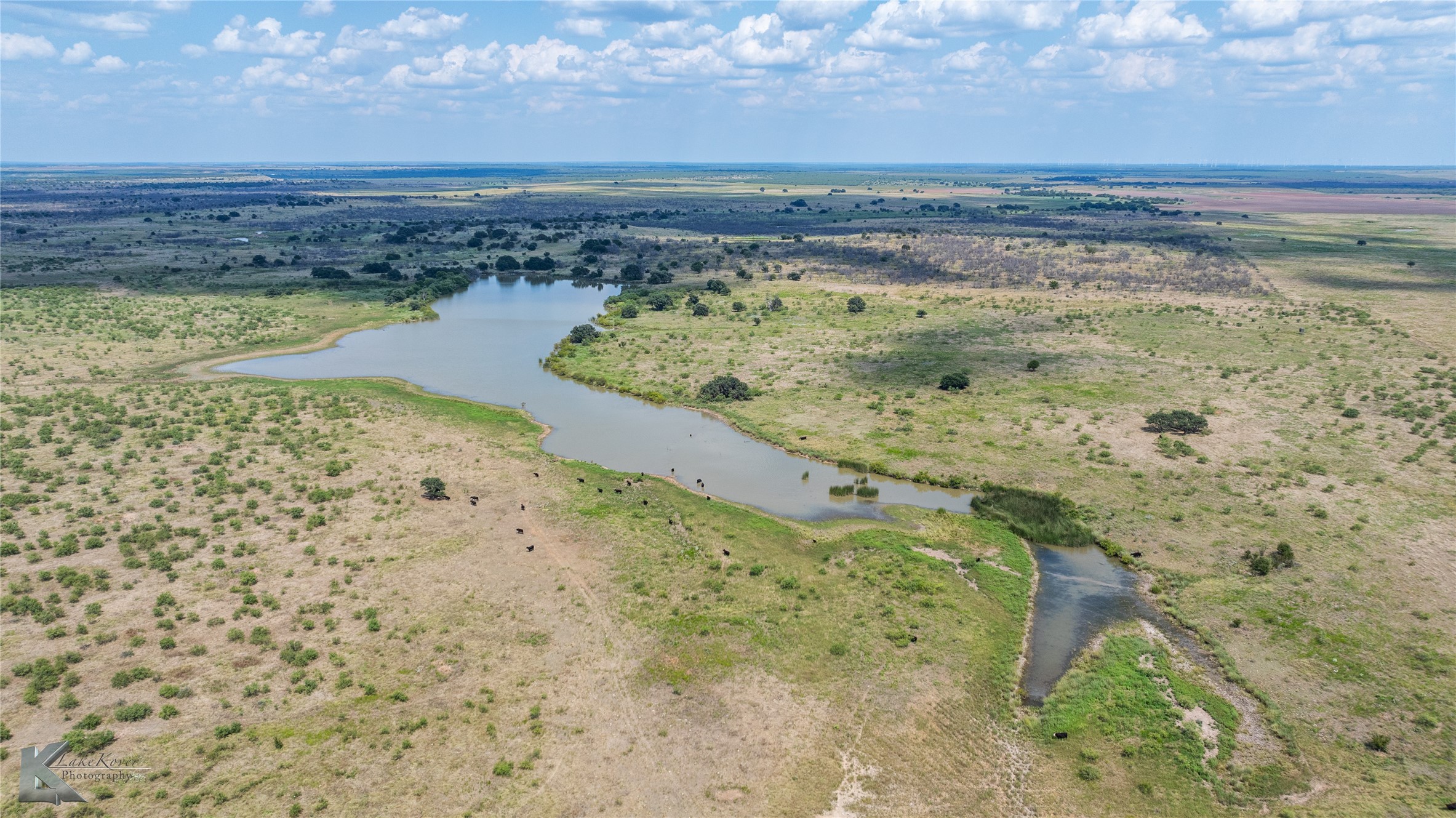1208 County Road 304 Throckmorton TX 76843
