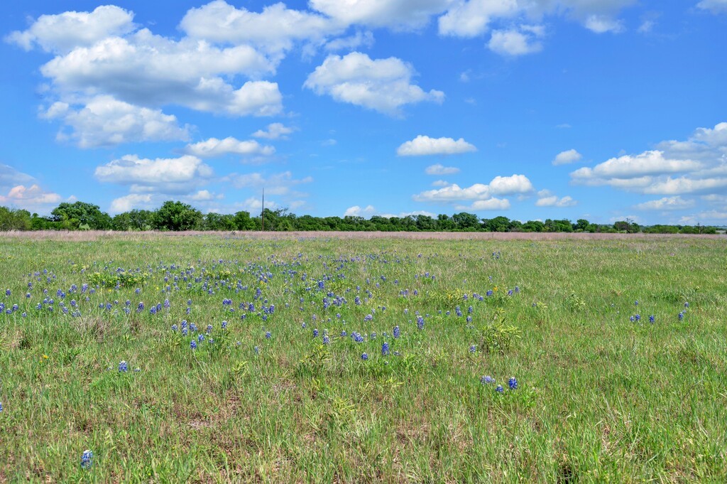 898 County Road 3220 Clifton TX 76634