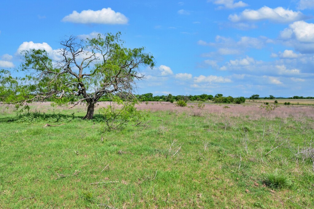 898 County Road 3220 Clifton TX 76634