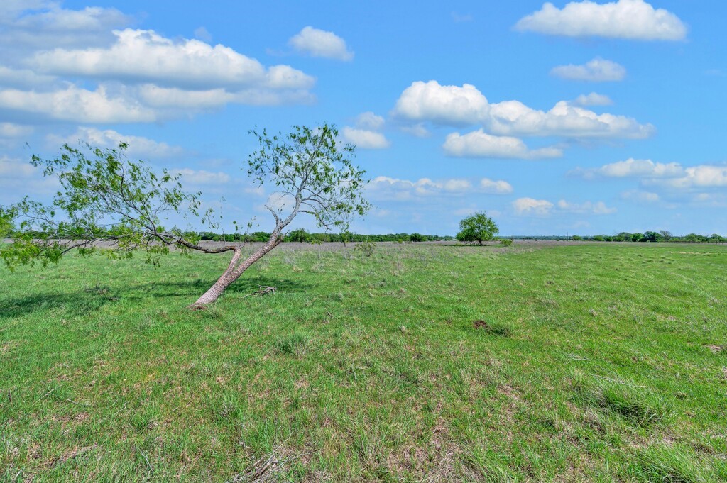 898 County Road 3220 Clifton TX 76634