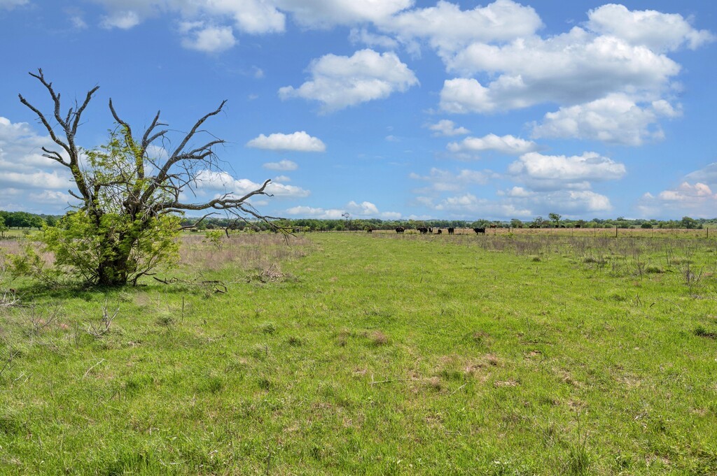 898 County Road 3220 Clifton TX 76634