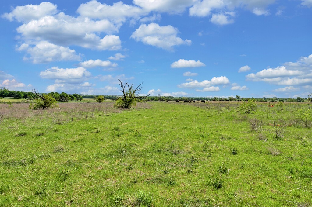 898 County Road 3220 Clifton TX 76634