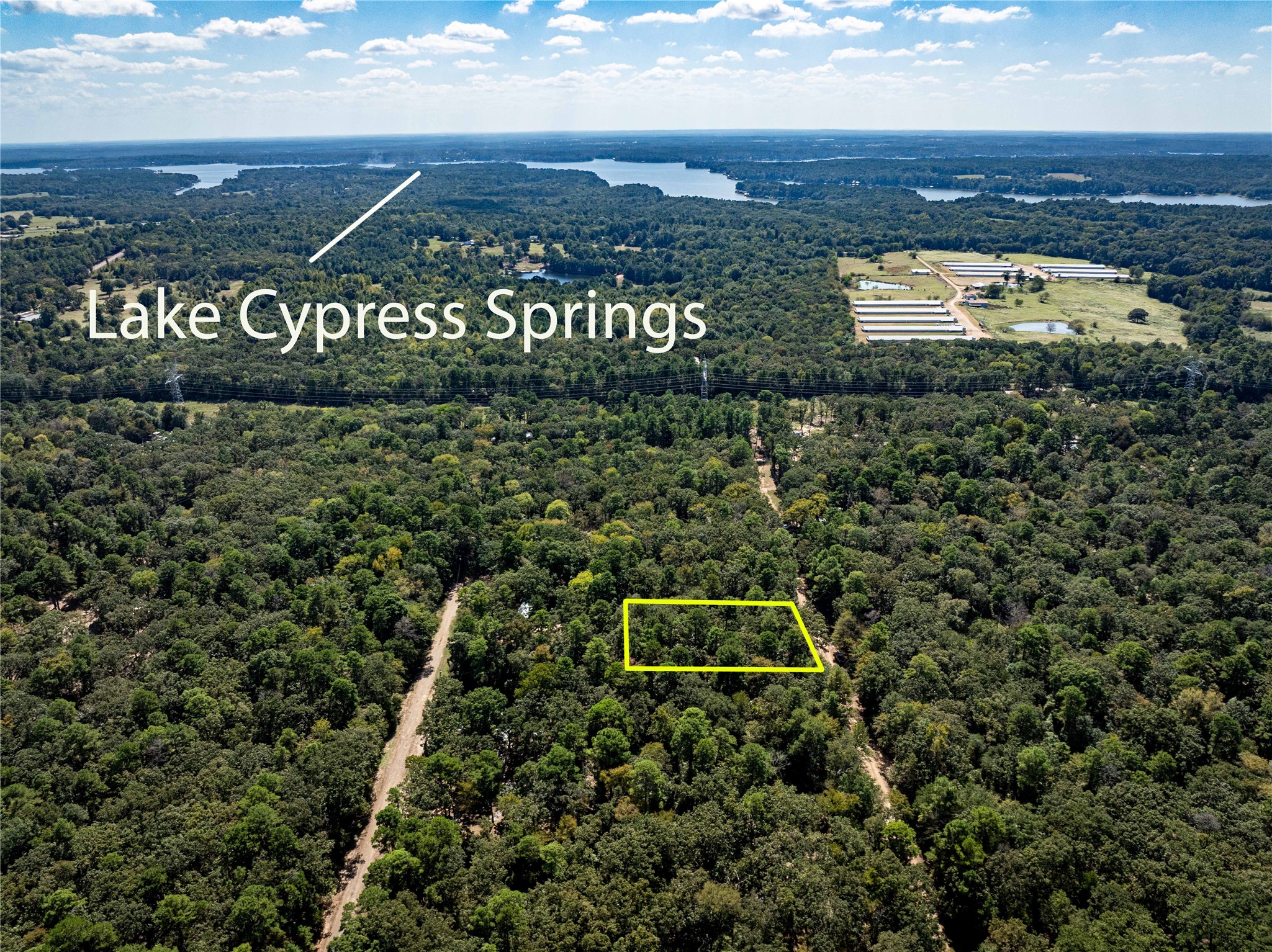 0 Daffodil Lane Mount Vernon TX 75457