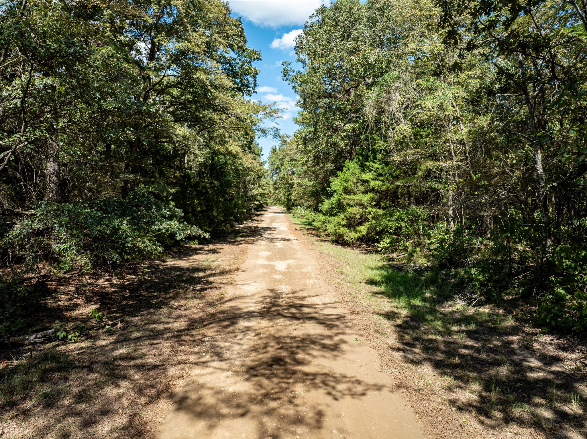 0 Daffodil Lane Mount Vernon TX 75457