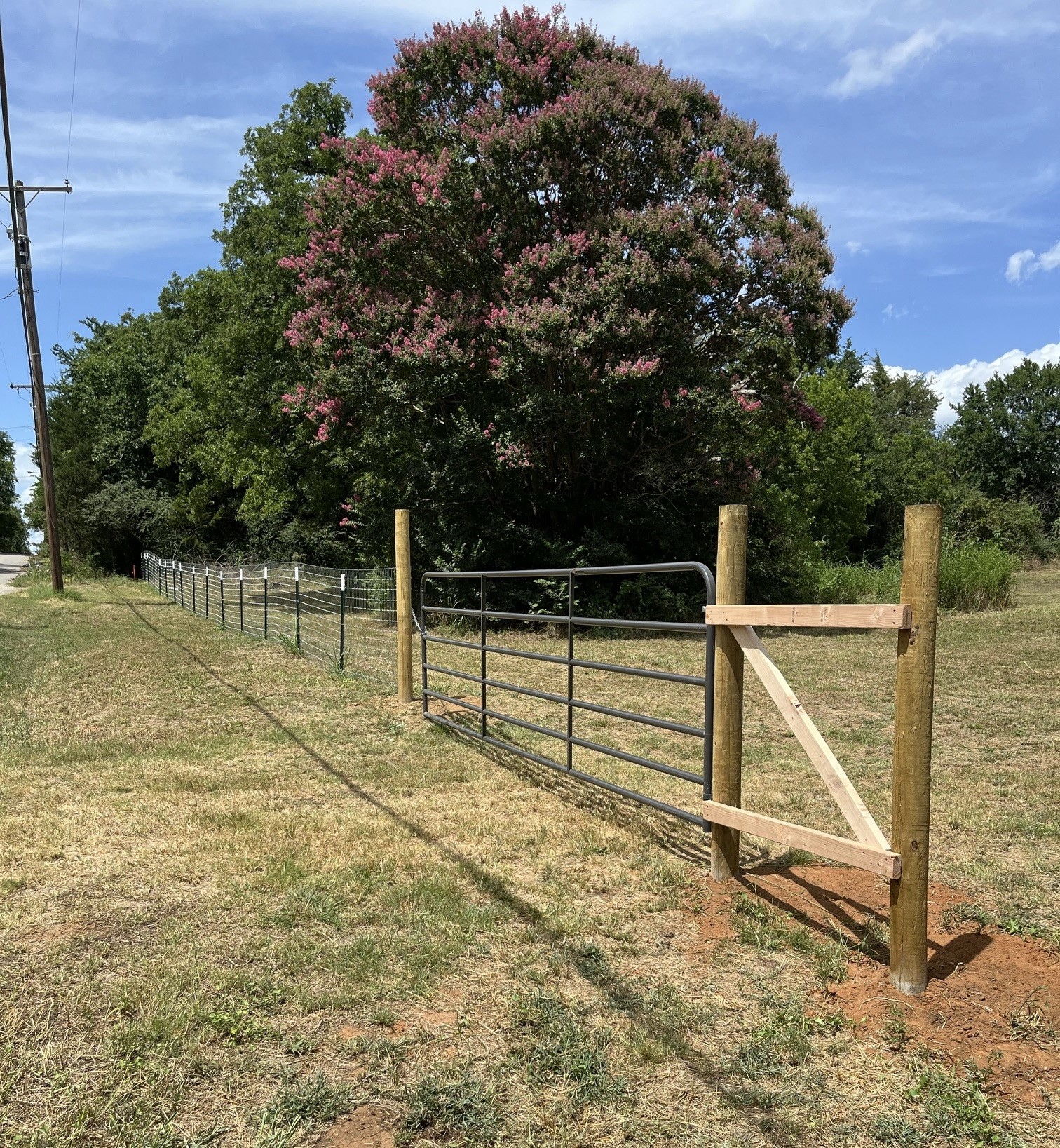 2000 S Fannin Avenue Denison TX 75020
