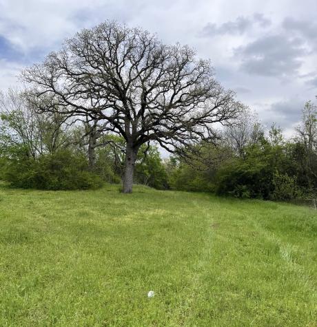 2000 S Fannin Avenue Denison TX 75020