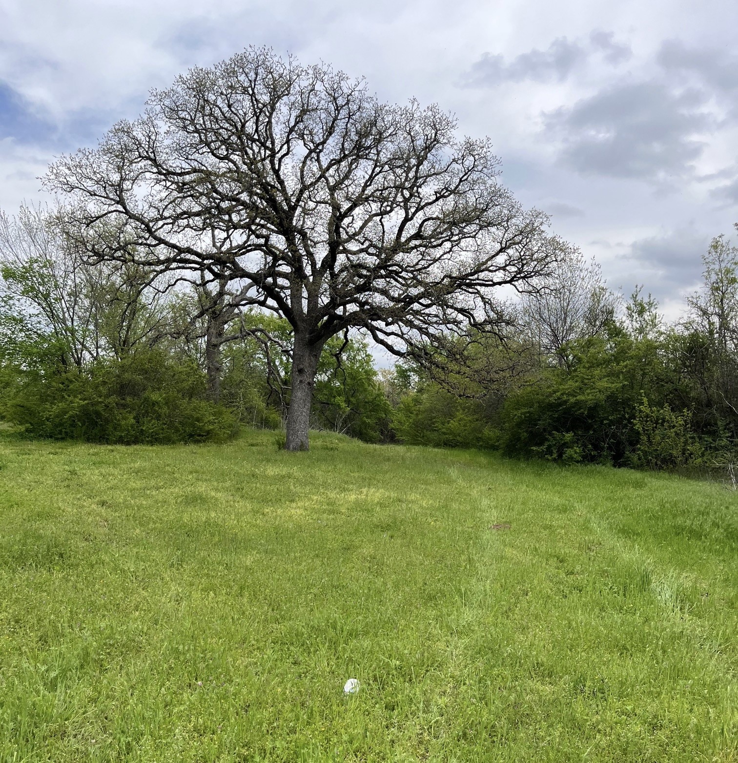2000 S Fannin Avenue Denison TX 75020