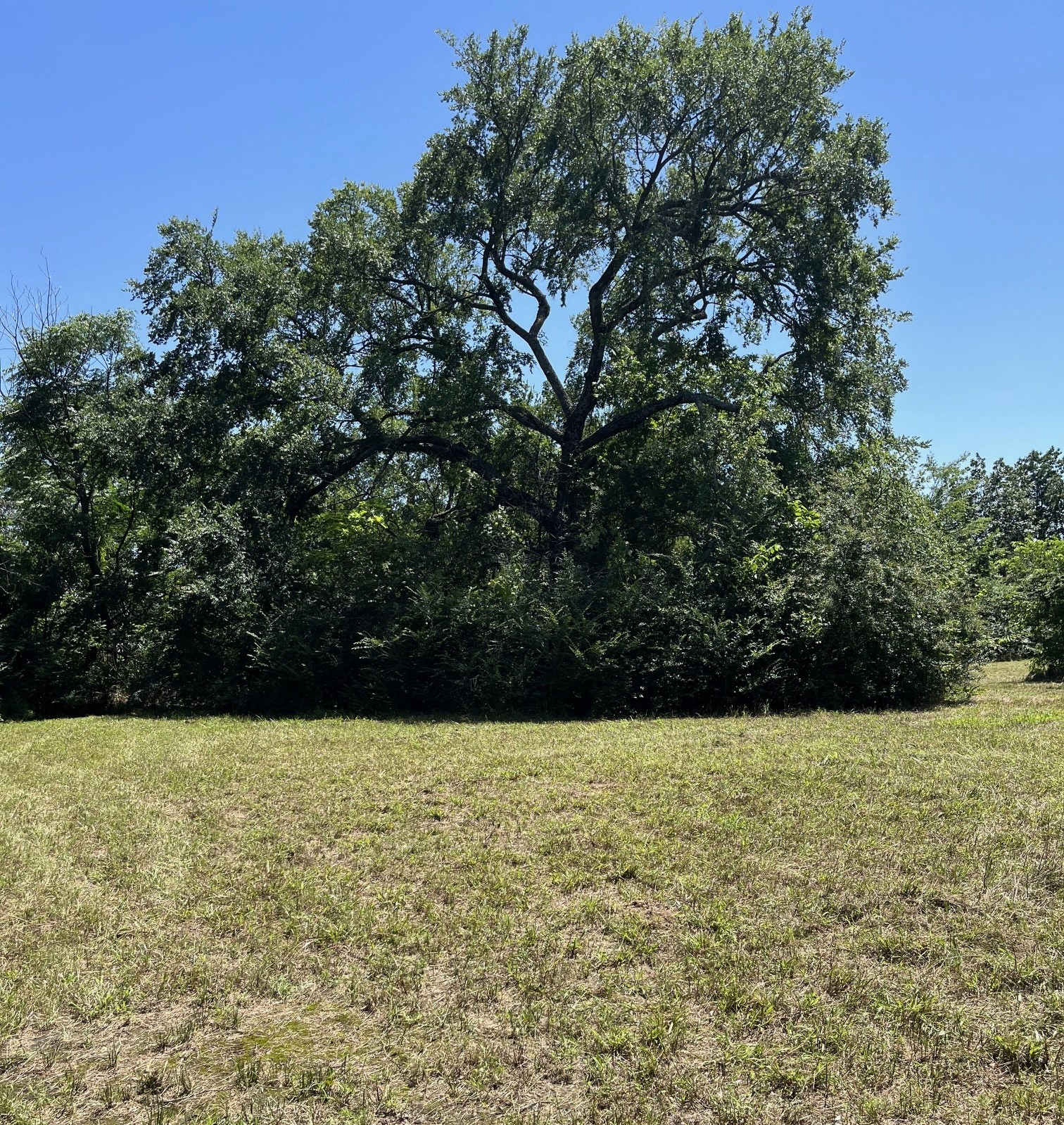 2000 S Fannin Avenue Denison TX 75020