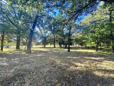 Lot 65 Sombrilla Lane Kerens TX 75144