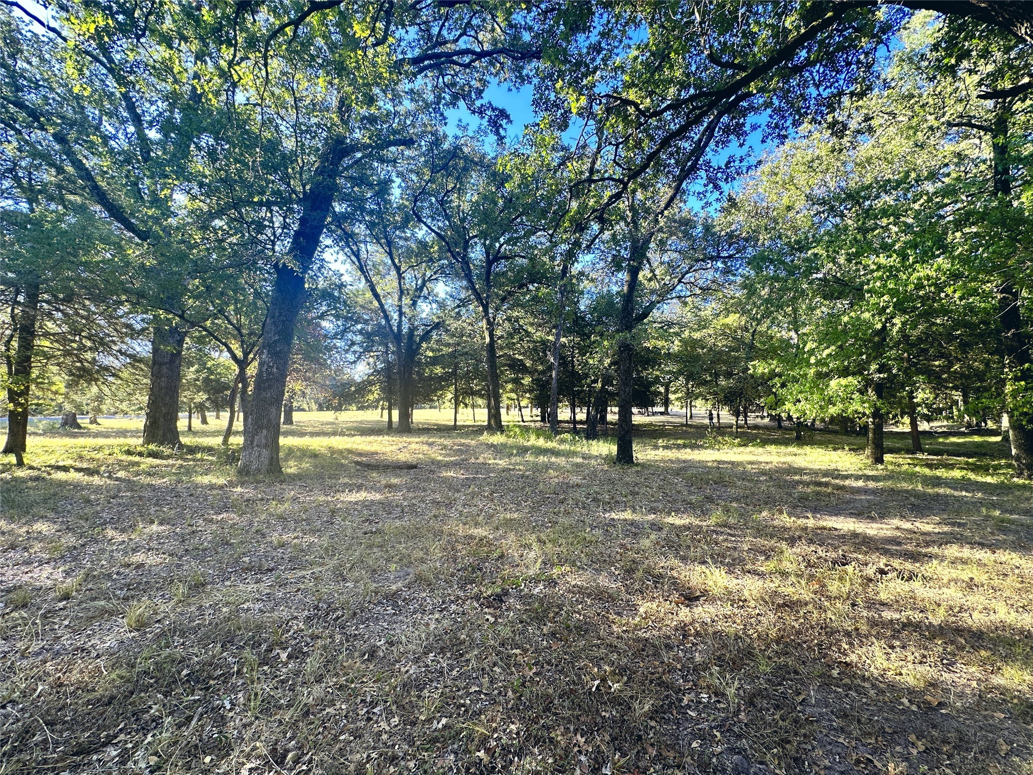 Lot 65 Sombrilla Lane Kerens TX 75144