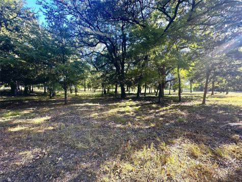 Lot 65 Sombrilla Lane Kerens TX 75144