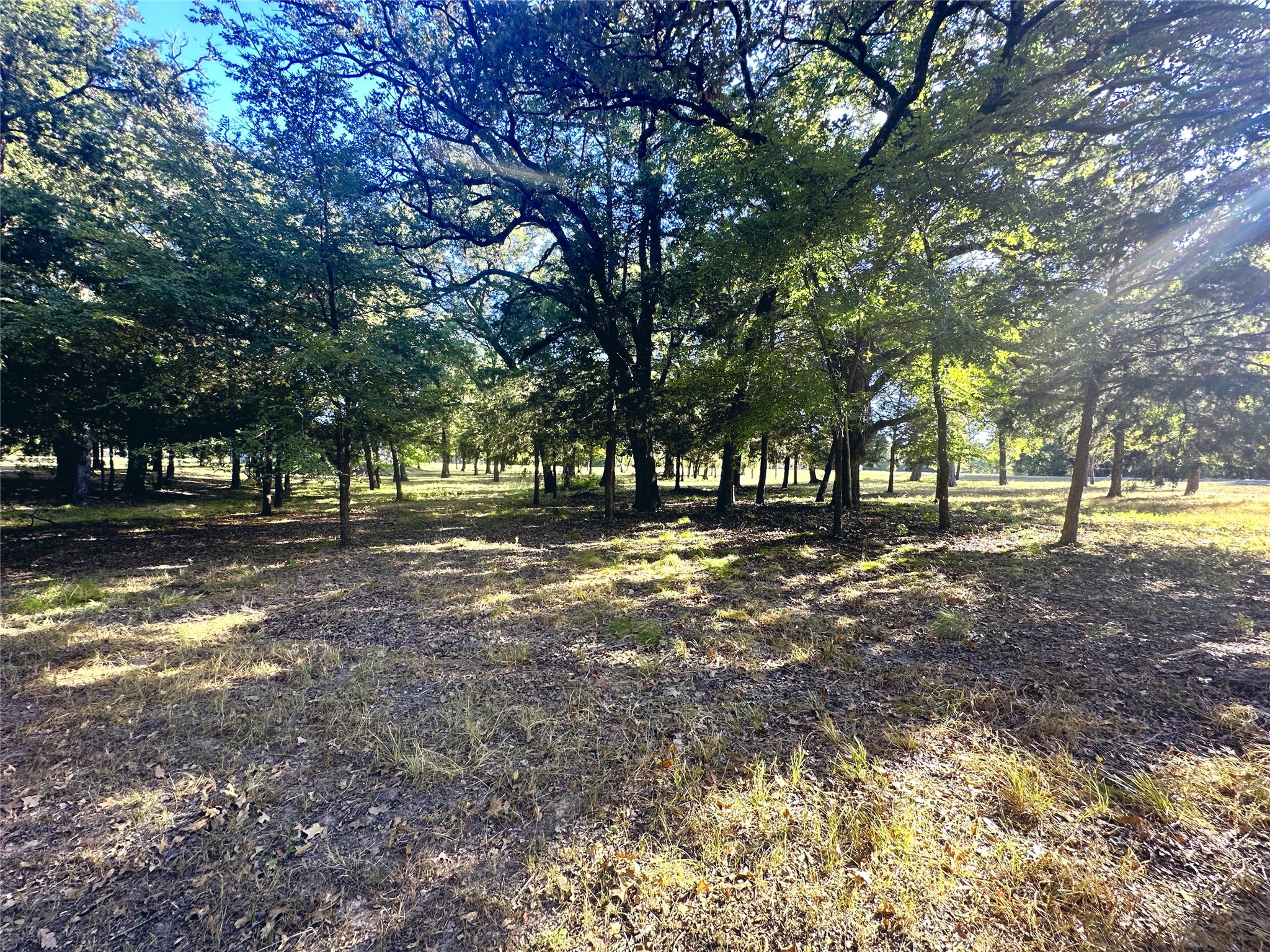 Lot 65 Sombrilla Lane Kerens TX 75144