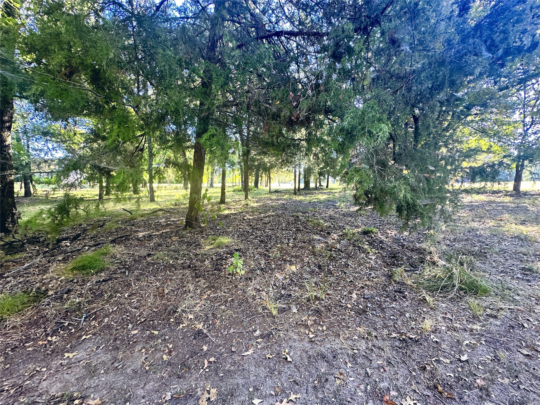 Lot 65 Sombrilla Lane Kerens TX 75144