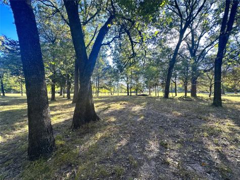 Lot 65 Sombrilla Lane Kerens TX 75144