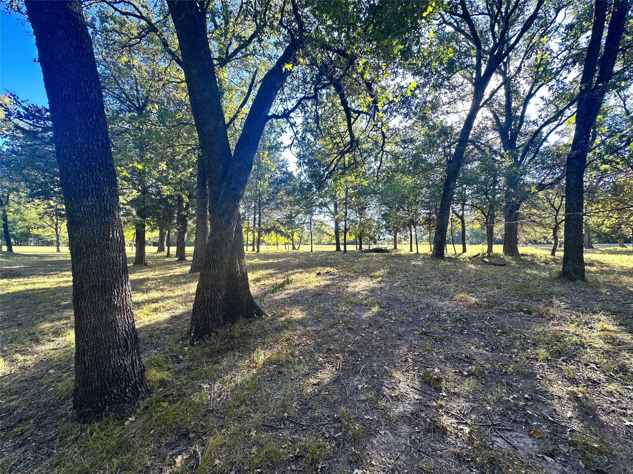 Lot 65 Sombrilla Lane Kerens TX 75144