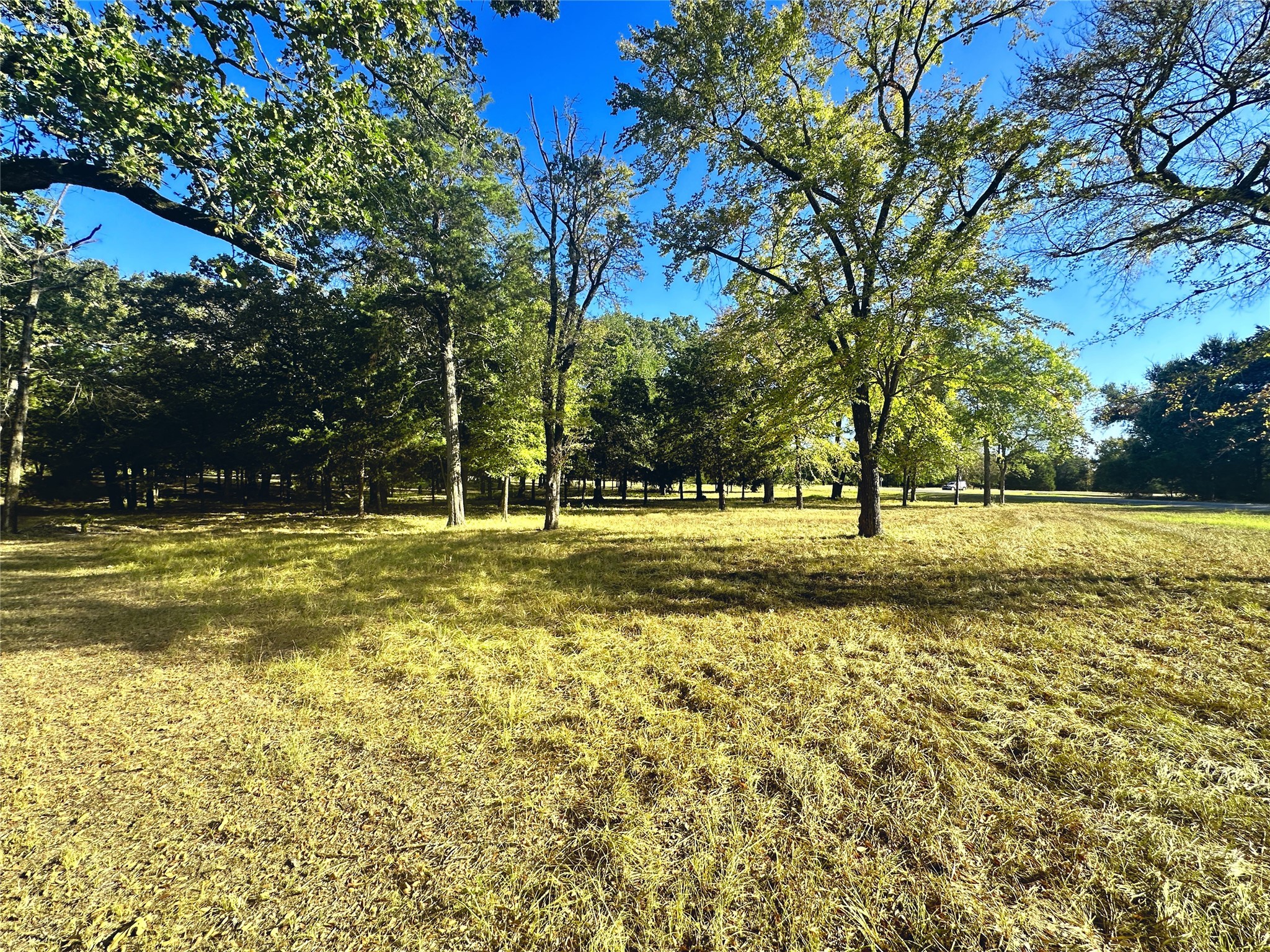 Lot 65 Sombrilla Lane Kerens TX 75144