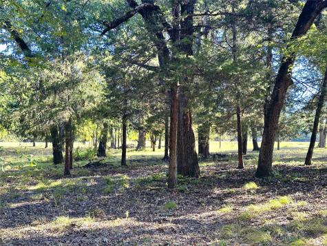 Lot 65 Sombrilla Lane Kerens TX 75144