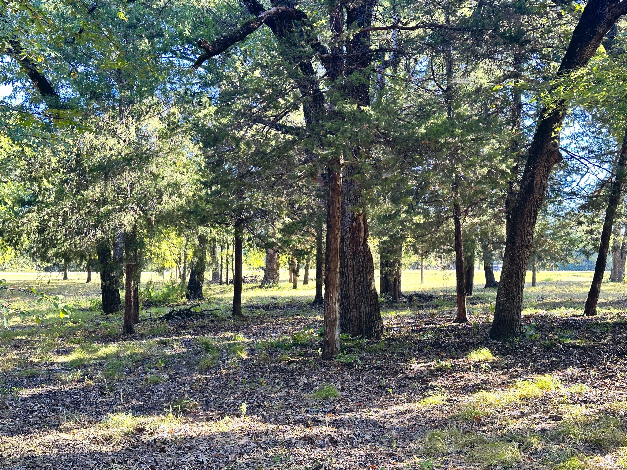 Lot 65 Sombrilla Lane Kerens TX 75144