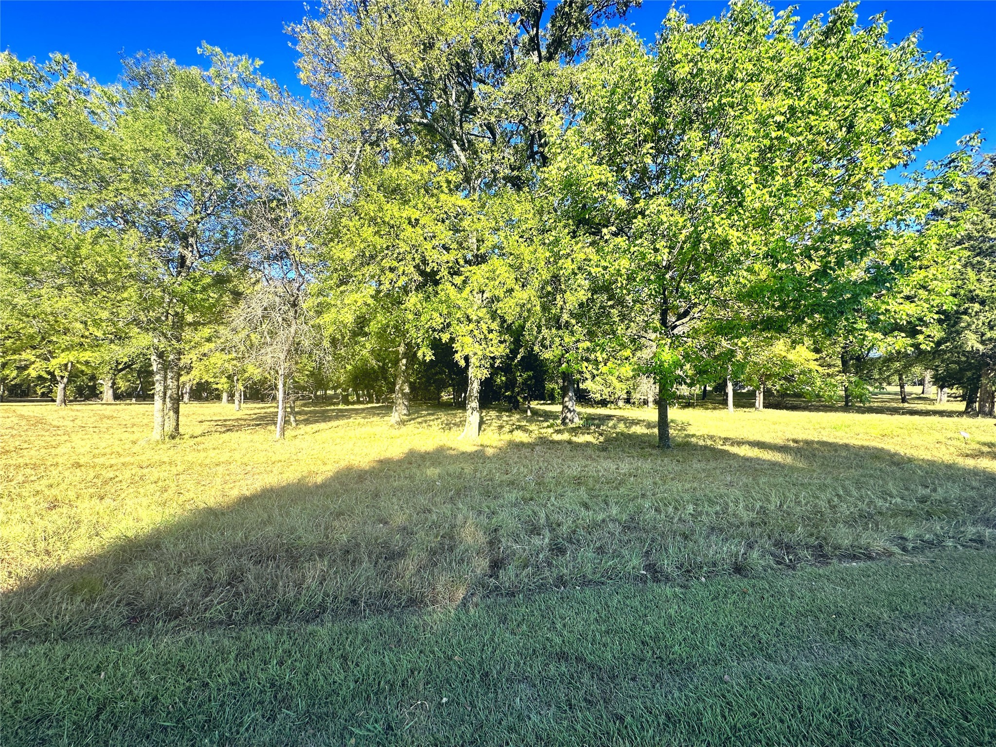 Lot 65 Sombrilla Lane Kerens TX 75144