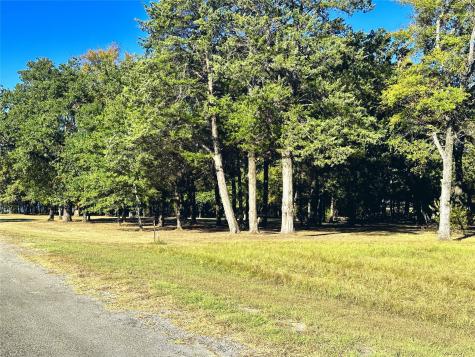Lot 65 Sombrilla Lane Kerens TX 75144