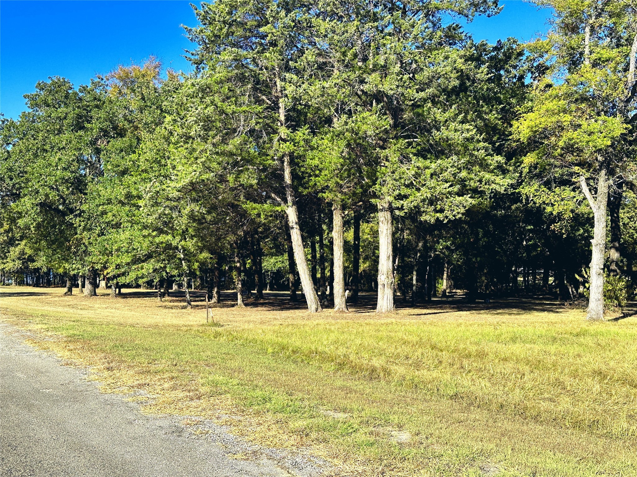 Lot 65 Sombrilla Lane Kerens TX 75144